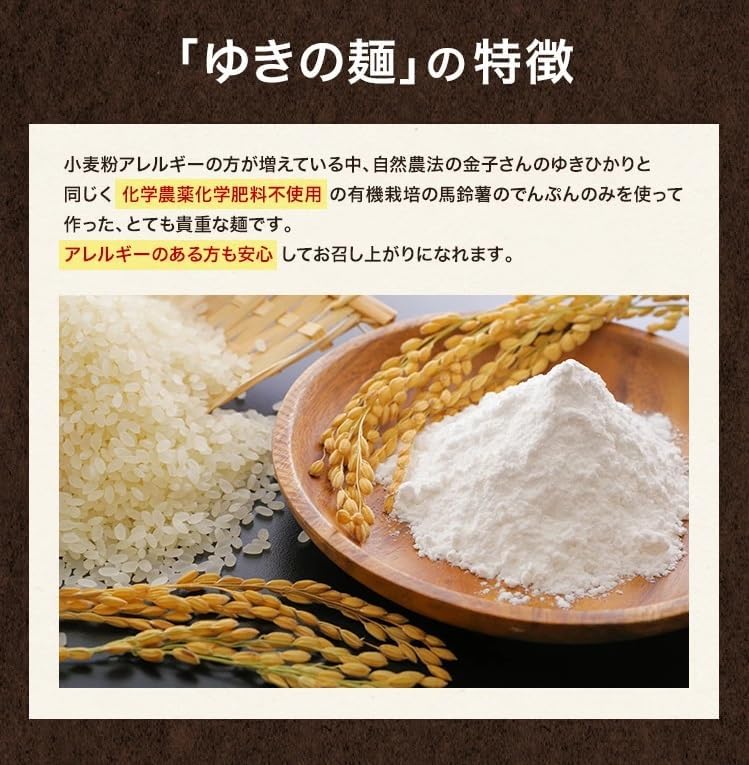 「ゆきの麺」玄米麺 100g×2食(細麺タイプ 太さ3ミリ)※自然栽培米麺 【メール便送料無料】※ななつぼし使用