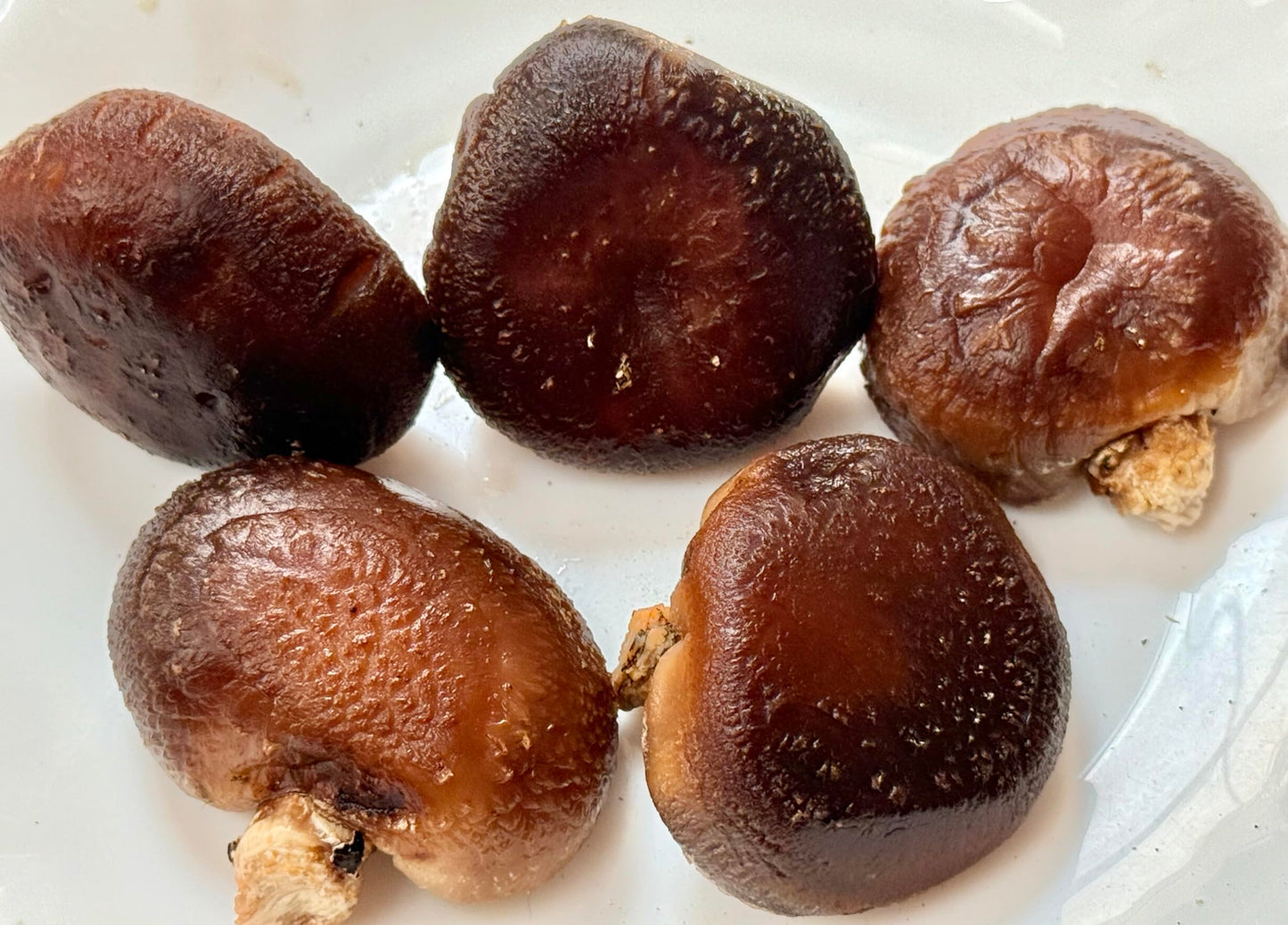 戸高園のうまみしいたけ 100g 自然栽培・原木栽培 (無農薬栽培・干し椎茸)※「焼きしいたけ」、「ステーキしいたけ」でそのまま食べるのがおすすめ。