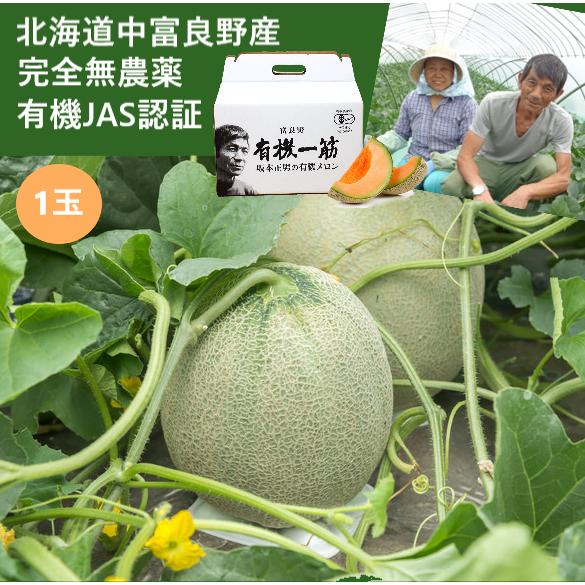 【北海道産 中富良野町 】有機JAS 坂本正男の有機メロン 1玉(約1.1kg~1.3kg前後) 【産地直送】無農薬 無化学肥料 自然農法 自然栽培 富良野 メロン 赤肉メロン ゆめてまり お取り寄せ ギフト お中元 糖度15度以上目安