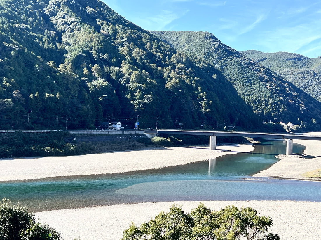 「紀和の里」の自然は豊かで美しい！畑農園では「天然うなぎ」までごちそうになりました。