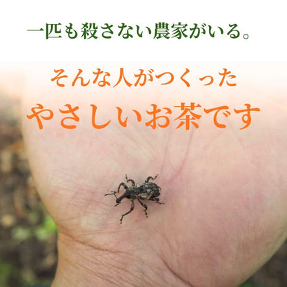 山田オリーブ園 小豆島産 有機無農薬栽培 有機オリーブ茶 有機JAS 自然農法 国産 無添加 ノンカフェイン 手摘み 春摘み 小豆島 ティーバッグ 2g×10個 1袋