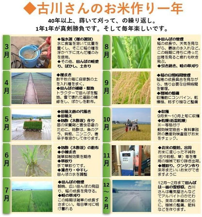 【会津産・R7年度産新米】自然農法米 古川さんのササニシキ【玄米５ｋｇ】（化学農薬・化学肥料不使用／40年以上無農薬栽培） ★あっさりとし他食感の高アミロース米 ※低温乾燥米 ※色彩別選別機により選別済み ※会津産のお米は食味ランク「特A」の常連。「魚沼」と双璧をなす米の名産地より最高級品質のお米をお届けします。