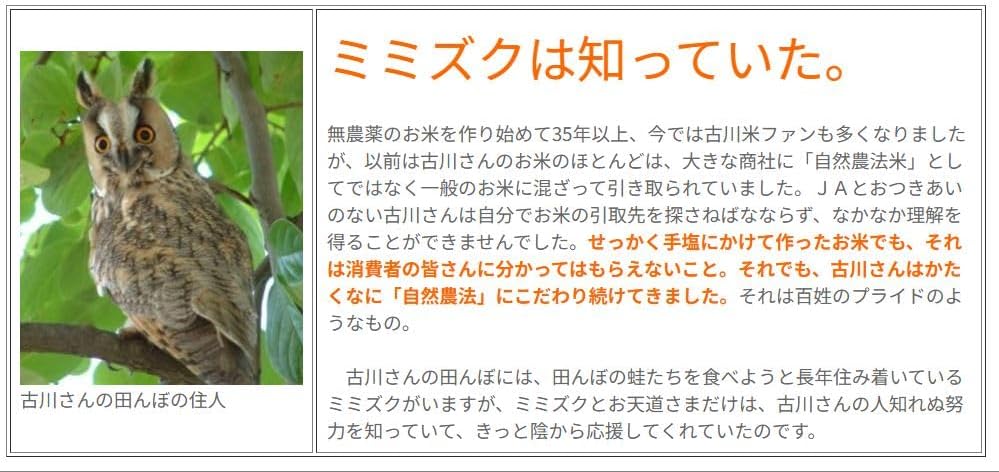 会津産・R7年度産新米】自然農法米 古川さんのササニシキ【玄米5kg