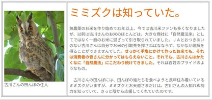 【会津産・R7年度産新米】自然農法米 古川さんのササニシキ【玄米５ｋｇ】（化学農薬・化学肥料不使用／40年以上無農薬栽培） ★あっさりとし他食感の高アミロース米 ※低温乾燥米 ※色彩別選別機により選別済み ※会津産のお米は食味ランク「特A」の常連。「魚沼」と双璧をなす米の名産地より最高級品質のお米をお届けします。