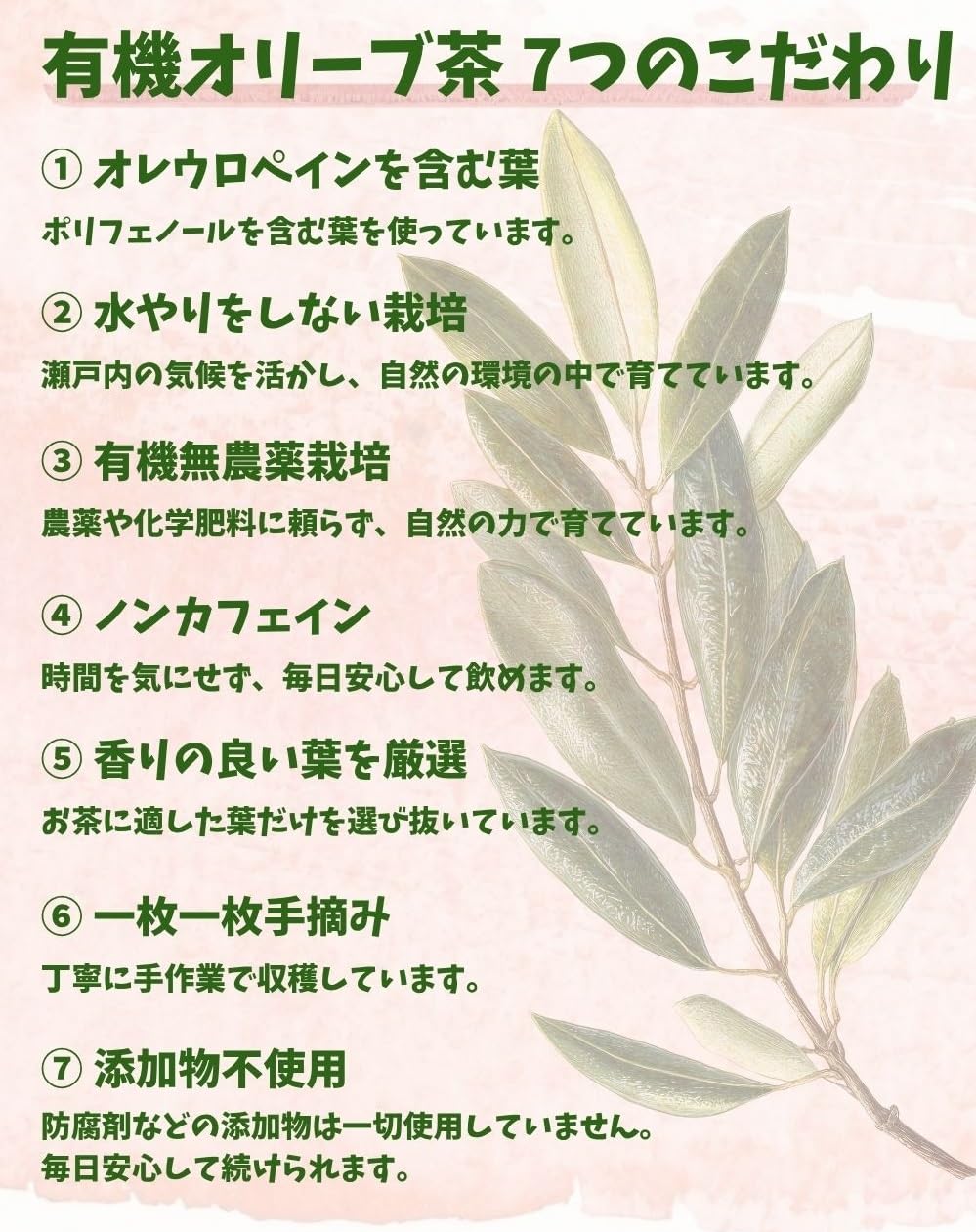 山田オリーブ園 小豆島産 有機無農薬栽培 有機オリーブ茶 有機JAS 自然農法 国産 無添加 ノンカフェイン 手摘み 春摘み 小豆島 ティーバッグ 2g×10個 1袋