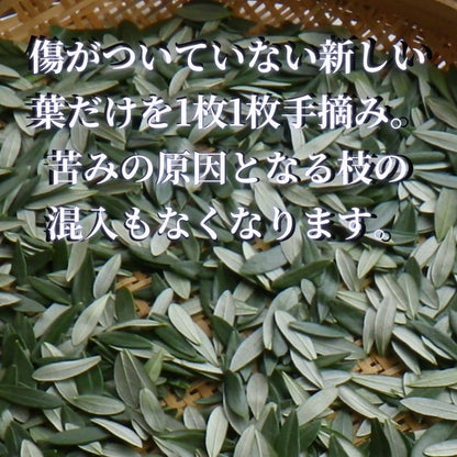 山田オリーブ園 小豆島産 有機無農薬栽培 有機オリーブ茶 有機JAS 自然農法 国産 無添加 ノンカフェイン 手摘み 春摘み 小豆島 ティーバッグ 2g×10個 1袋