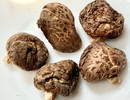 戸高園のうまみしいたけ　100g 　自然栽培・原木栽培　(無農薬栽培・干し椎茸）※「焼きしいたけ」、「ステーキしいたけ」でそのまま食べるのがおすすめ。