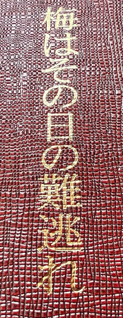【ギフト用（難逃れ梅）】紀和のさと 無農薬梅干し 無添加梅干し 紀和の里梅 500g（梅酢含む）※「梅はその日の難逃れ」と記したギフト箱でのお届けです。