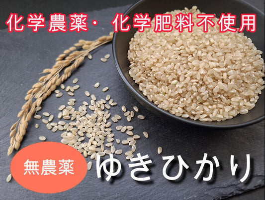 【北海道産／金子農園・雪月花、他】自然栽培または無農薬栽培　ゆきひかり　（玄米）5ｋｇ（無化学肥料無化学農薬栽培）※「北海道自然栽培の会」が育てました　【令和7年度産】