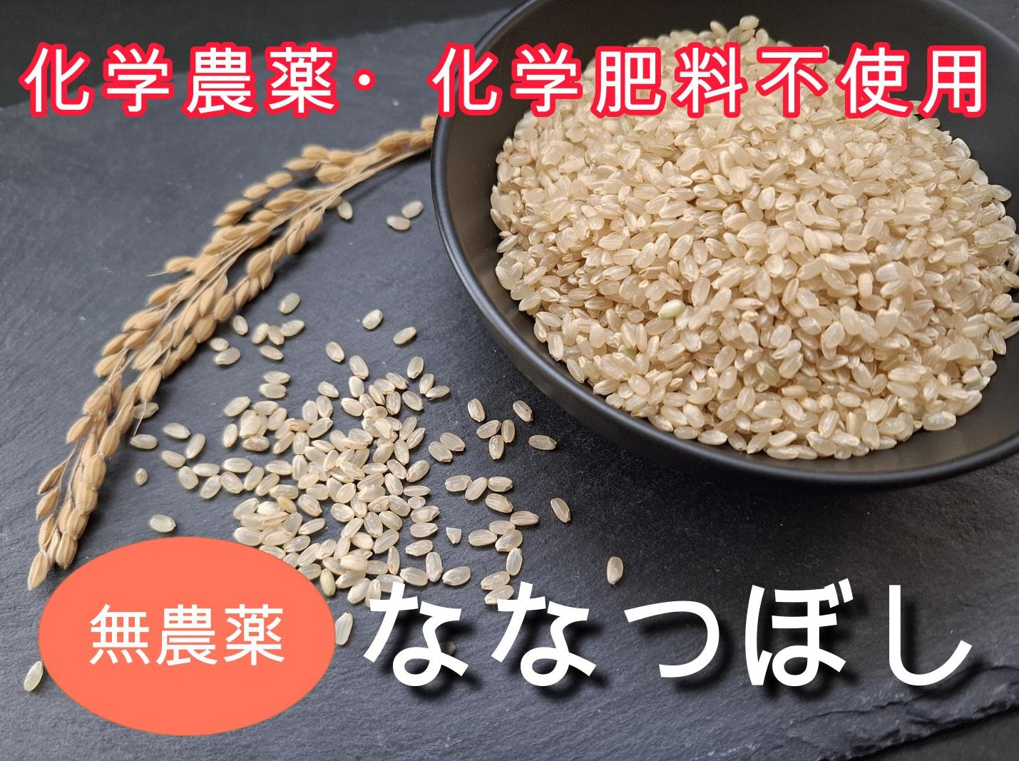 【北海道産／金子農園・雪月花、他】自然栽培または無農薬栽培　ななつぼし　（玄米）5ｋｇ（無化学肥料無化学農薬栽培）※「北海道自然栽培の会」が育てました　【令和7年度産】