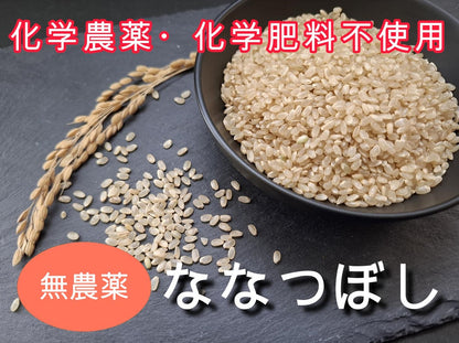 【北海道産／金子農園・雪月花、他】自然栽培または無農薬栽培　ななつぼし　（玄米）5ｋｇ（無化学肥料無化学農薬栽培）※「北海道自然栽培の会」が育てました　【令和7年度産】