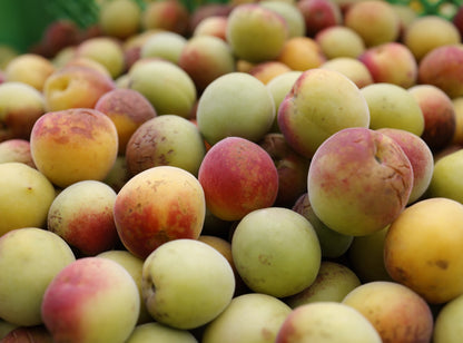 【送料無料】【2ｋｇ／4個セット】自然農法梅干【紀和の里梅】 500g×4個 ※無農薬無化学肥料栽培・伝統製法