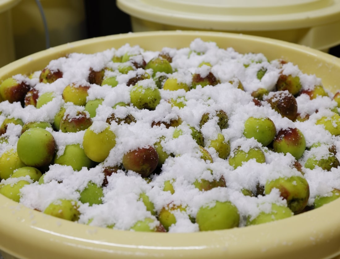 【送料無料】【2ｋｇ／4個セット】自然農法梅干【紀和の里梅】 500g×4個 ※無農薬無化学肥料栽培・伝統製法