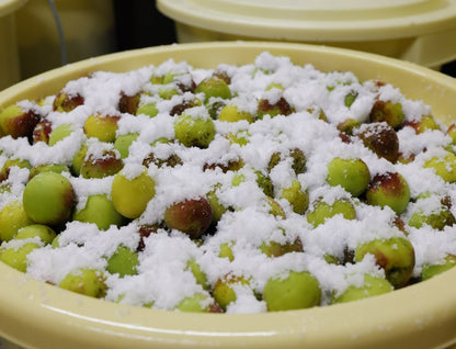 【送料無料】【2ｋｇ／4個セット】自然農法梅干【紀和の里梅】 500g×4個 ※無農薬無化学肥料栽培・伝統製法