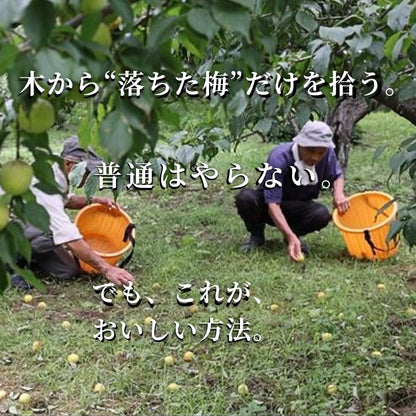 自然農法・無添加梅干【紀和のこうめ（小梅）渓 小】375ｇ【メール便送料無料】