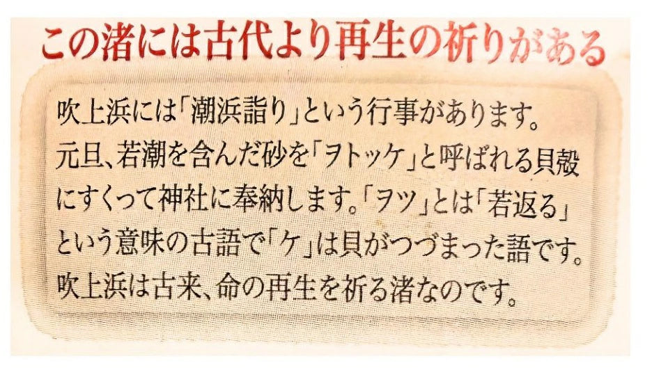 【吹上天然塩の会】渚のあま塩 125g 鹿児島県吹上浜沖産 天然あま塩 天然塩 自然海塩 自然塩 手作り塩 国産海塩 薪炊き 平釜塩 にがり残留 海水塩 おいしい塩 自然塩