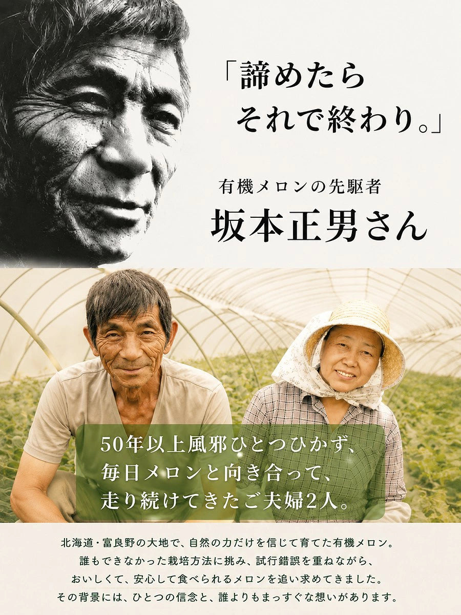 【北海道産 中富良野町 】有機JAS 坂本正男の有機メロン 1玉（約1.1ｋｇ～1.3ｋｇ前後） 【産地直送】無農薬 無化学肥料 自然農法 自然栽培 富良野 メロン 赤肉メロン ゆめてまり お取り寄せ ギフト お中元 糖度15度以上目安