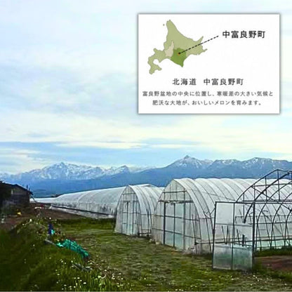 【北海道産 中富良野町 】有機JAS 坂本正男の有機メロン 1玉（約1.1ｋｇ～1.3ｋｇ前後） 【産地直送】無農薬 無化学肥料 自然農法 自然栽培 富良野 メロン 赤肉メロン ゆめてまり お取り寄せ ギフト お中元 糖度15度以上目安