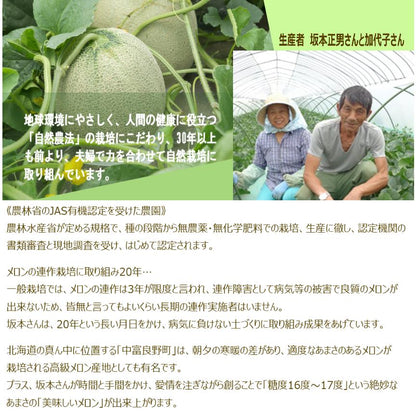 【北海道産 中富良野町 】有機JAS 坂本正男の有機メロン 1玉（約1.1ｋｇ～1.3ｋｇ前後） 【産地直送】無農薬 無化学肥料 自然農法 自然栽培 富良野 メロン 赤肉メロン ゆめてまり お取り寄せ ギフト お中元 糖度15度以上目安