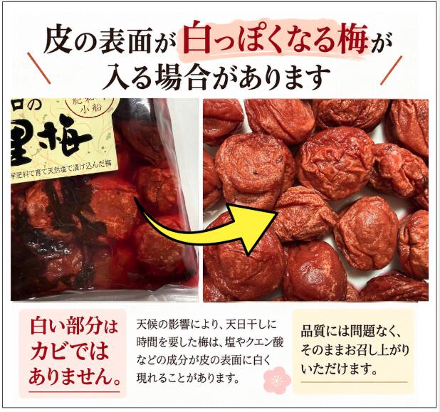 自然農法・無添加梅干【紀和の里梅】500g（梅酢含む）【メール便送料無料】