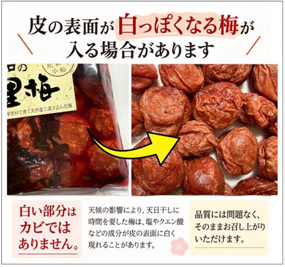 自然農法・無添加梅干【紀和の里梅】500g（梅酢含む）【メール便送料無料】