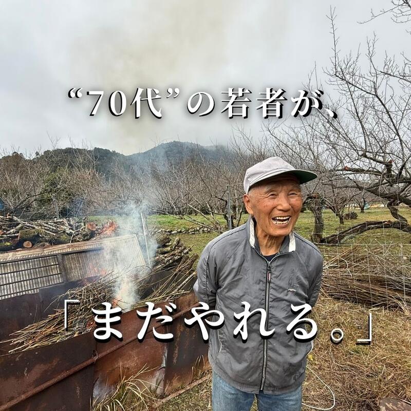 自然農法・無添加梅干【紀和のこうめ（小梅）渓 小】375ｇ【メール便送料無料】