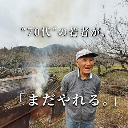 自然農法・無添加梅干【紀和のこうめ（小梅）渓 小】375ｇ【メール便送料無料】