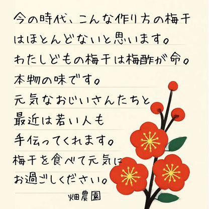 自然農法・無添加梅干【紀和のこうめ（小梅）渓 小】375ｇ【メール便送料無料】