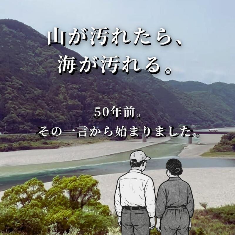 自然農法・無添加梅干【紀和のこうめ（小梅）渓 小】375ｇ【メール便送料無料】