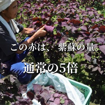 自然農法・無添加梅干【紀和のこうめ（小梅）渓 小】375ｇ【メール便送料無料】