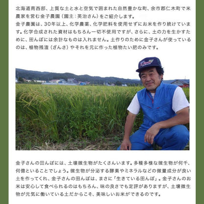 【北海道産／金子農園・雪月花、他】自然栽培または無農薬栽培　ゆきひかり　（玄米）5ｋｇ（無化学肥料無化学農薬栽培）※「北海道自然栽培の会」が育てました　【令和7年度産】