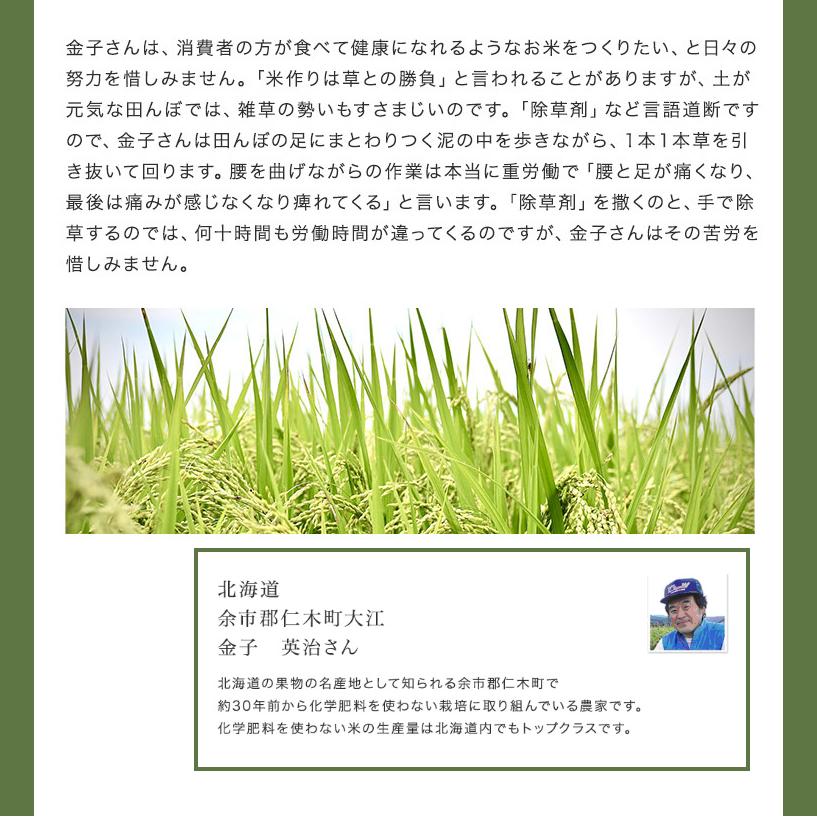 【北海道産／金子農園・雪月花、他】自然栽培または無農薬栽培　ゆきひかり　（玄米）5ｋｇ（無化学肥料無化学農薬栽培）※「北海道自然栽培の会」が育てました　【令和7年度産】